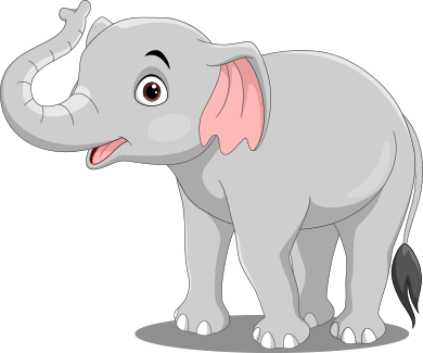 frequently-asked-questions-image-elephant